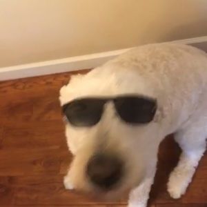 Meet your Posher, Jonathan